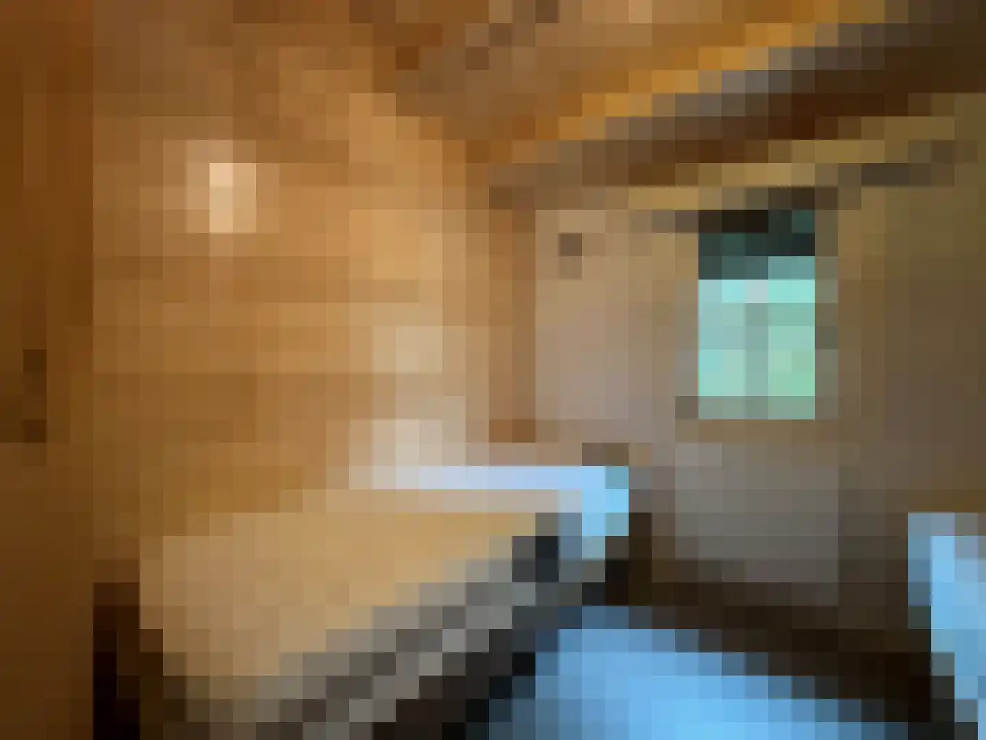 Sparrendreef 12 601 Oostrum thumbnail 19