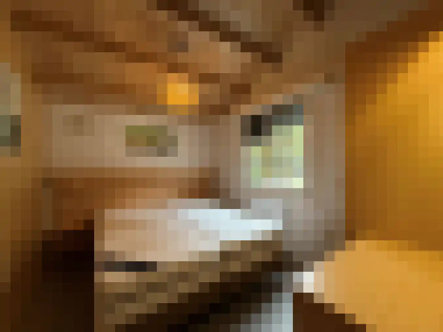 Sparrendreef 12 601 Oostrum thumbnail 20