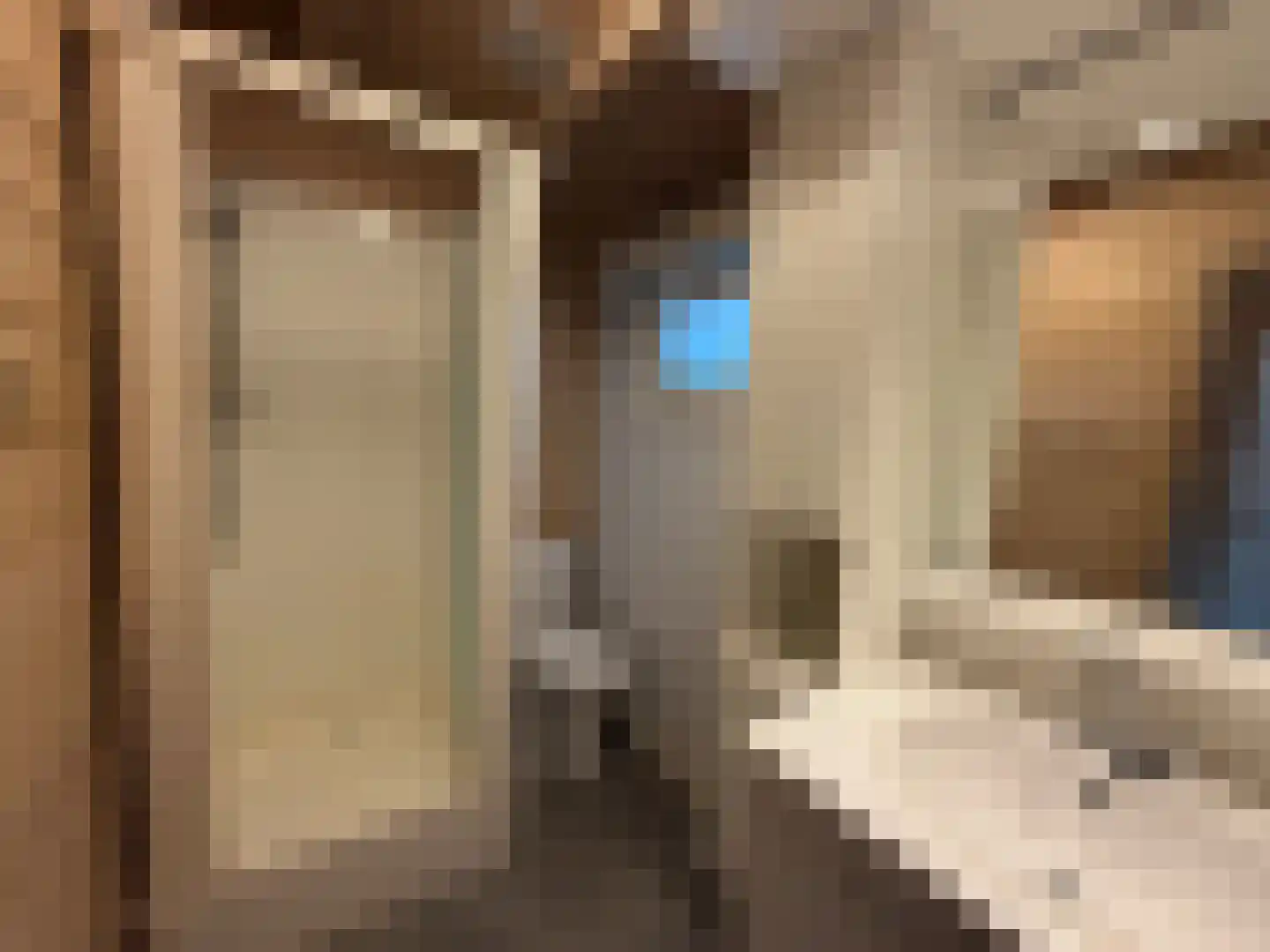 Sparrendreef 12 601 Oostrum thumbnail 22