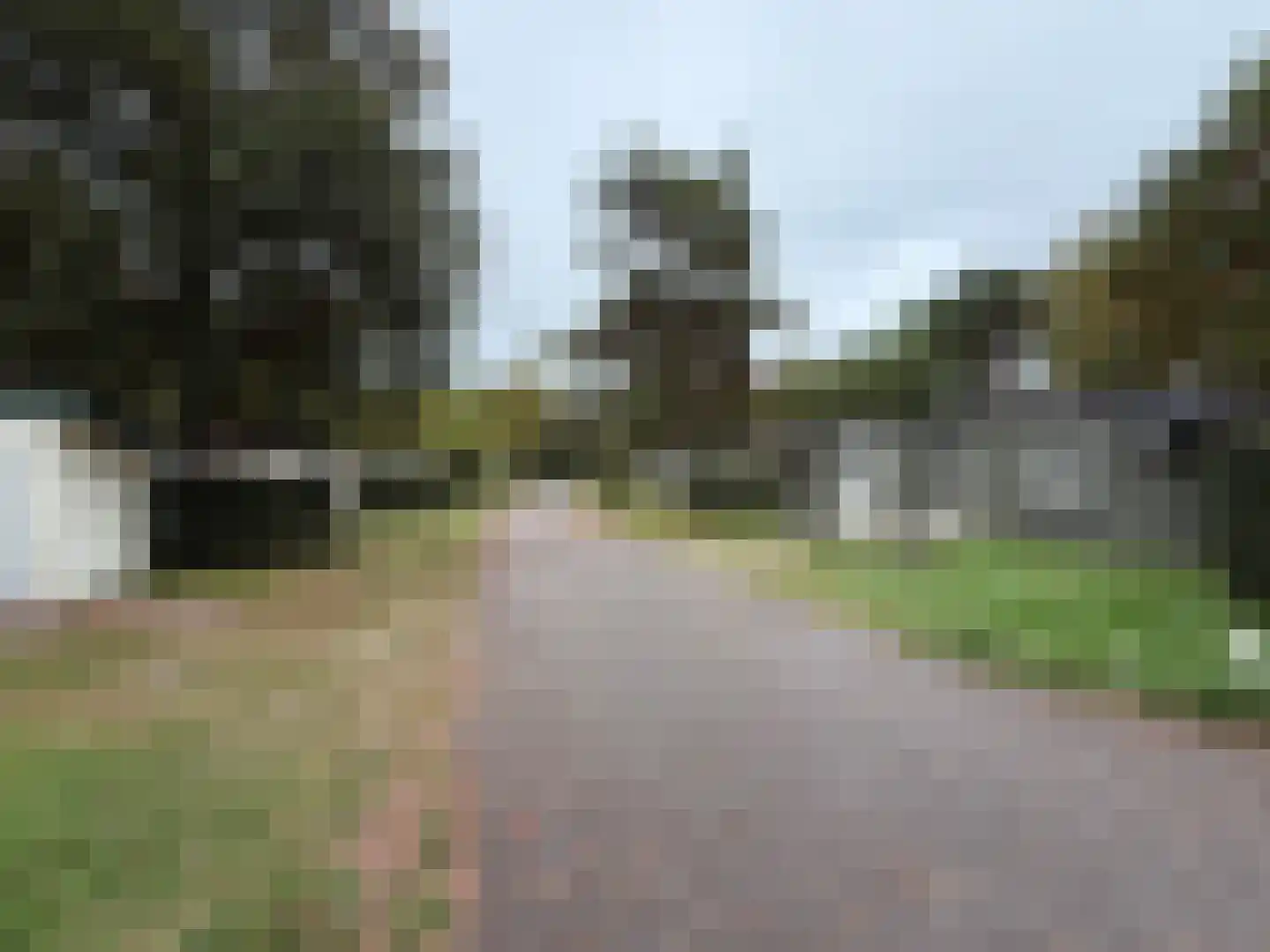 Sparrendreef 12 601 Oostrum thumbnail 23