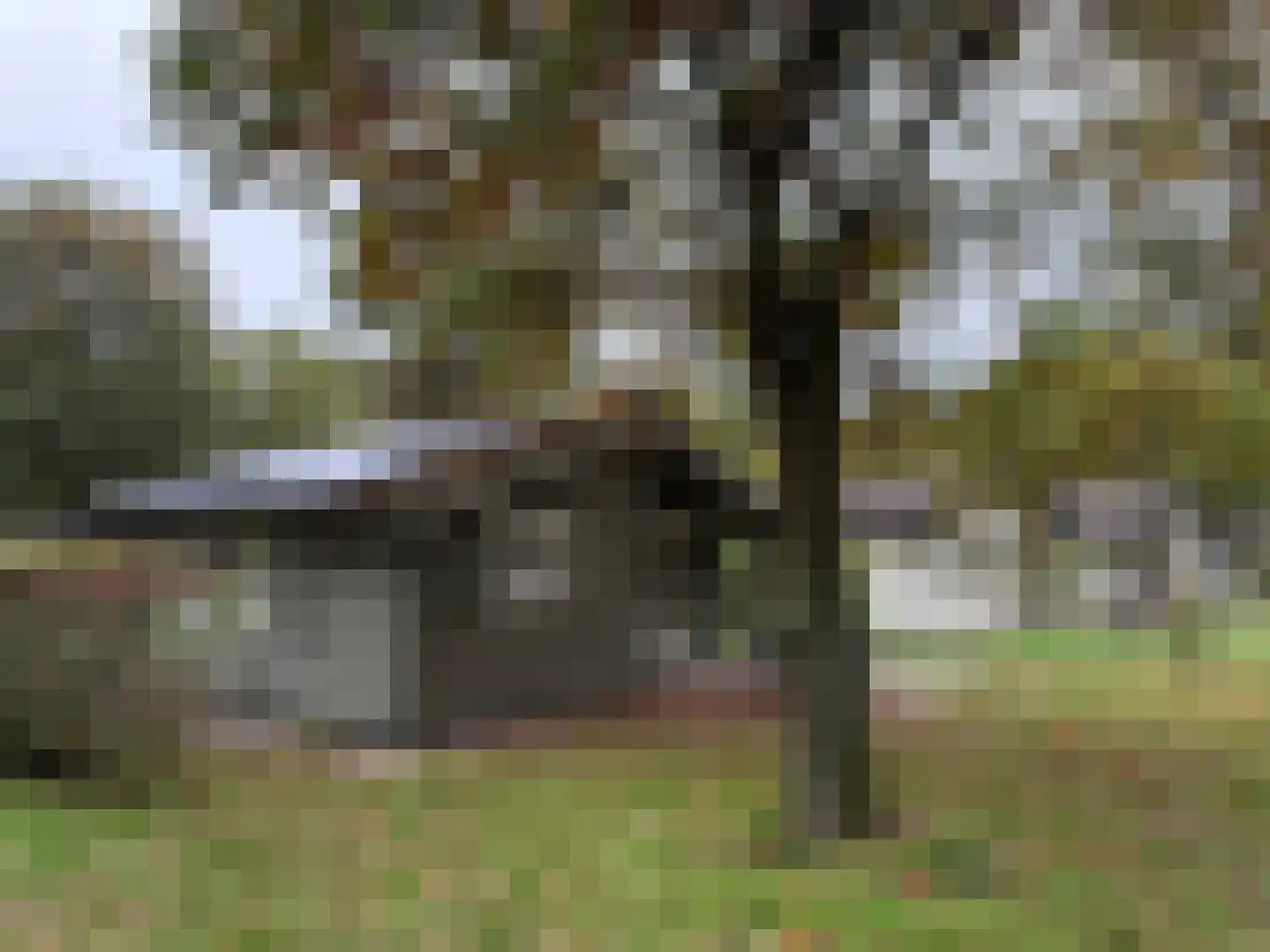 Sparrendreef 12 601 Oostrum thumbnail 24