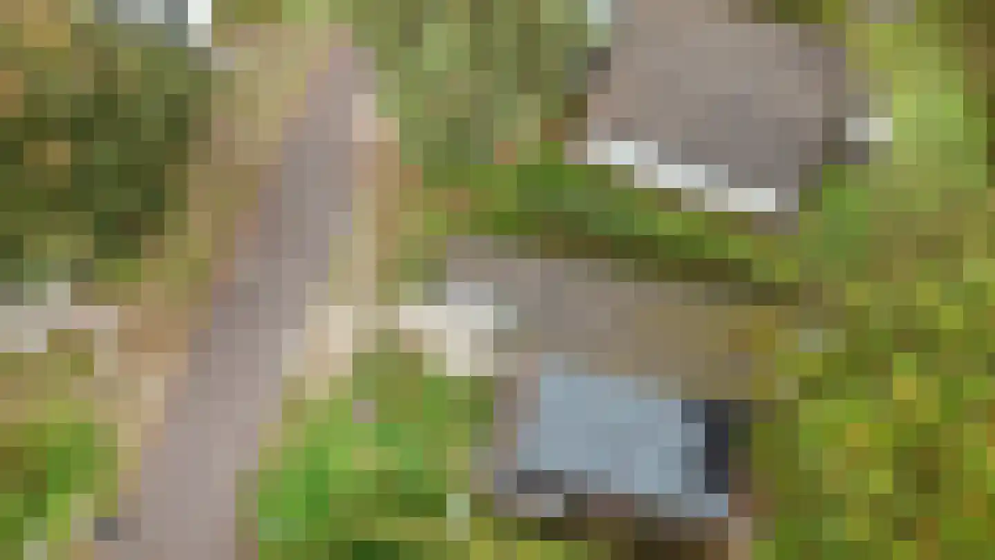 Sparrendreef 12 601 Oostrum thumbnail 5