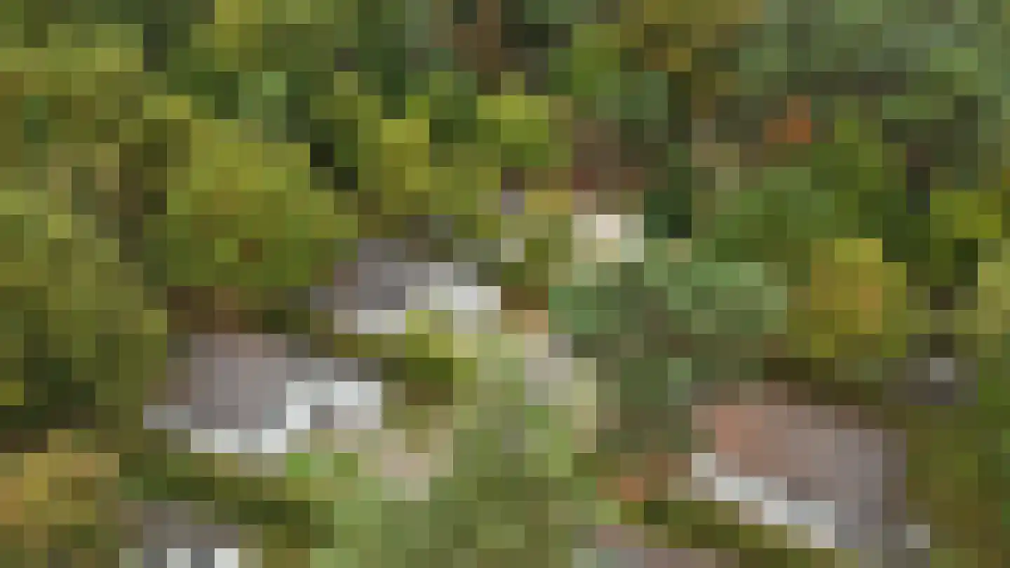 Sparrendreef 12 601 Oostrum thumbnail 6