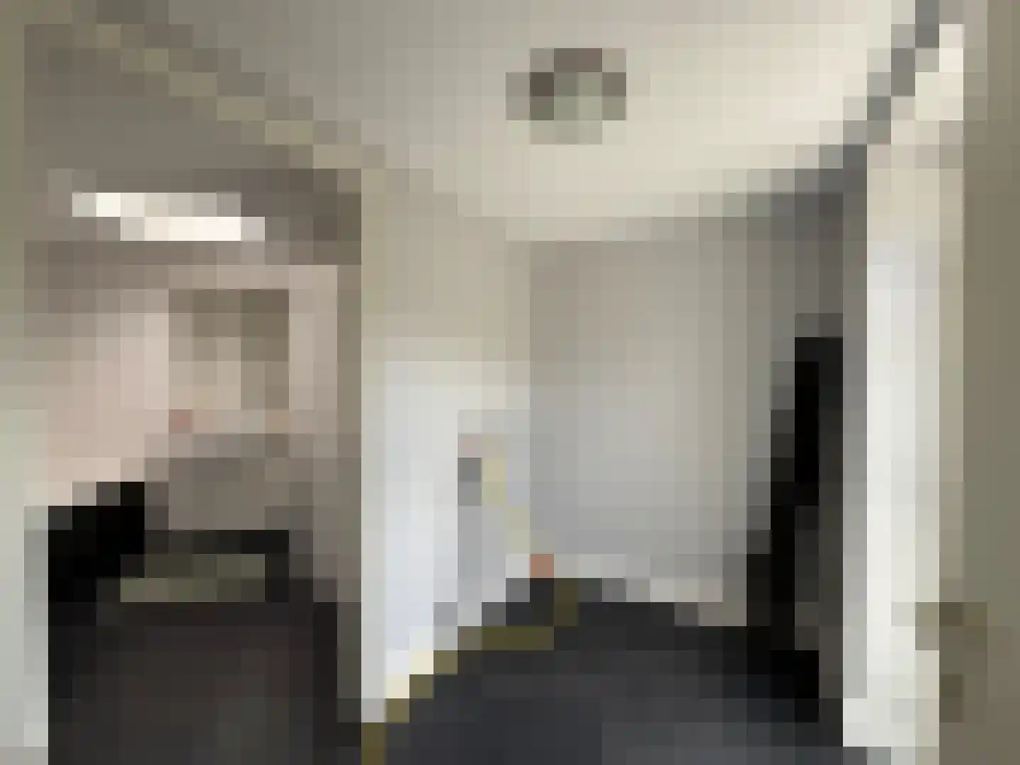 Sparrendreef 12 907 Oostrum thumbnail 14