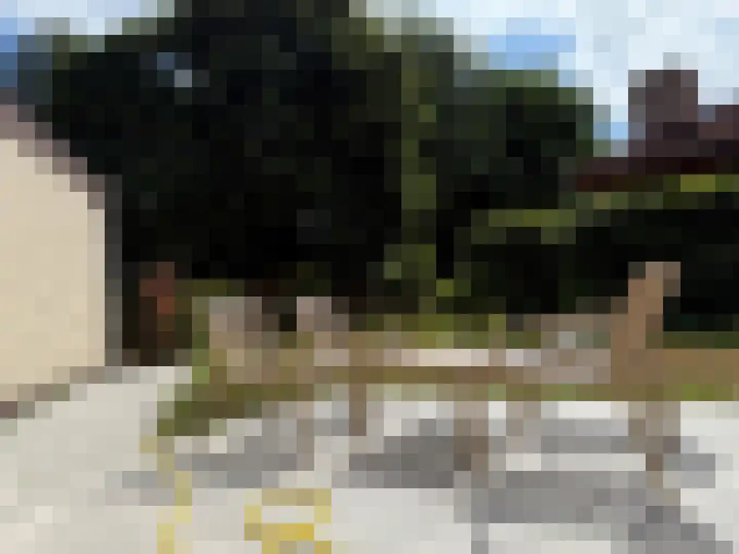 Sparrendreef 12 907 Oostrum thumbnail 19