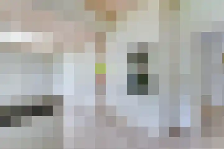 Sparrenlaan 10 Soest thumbnail 17