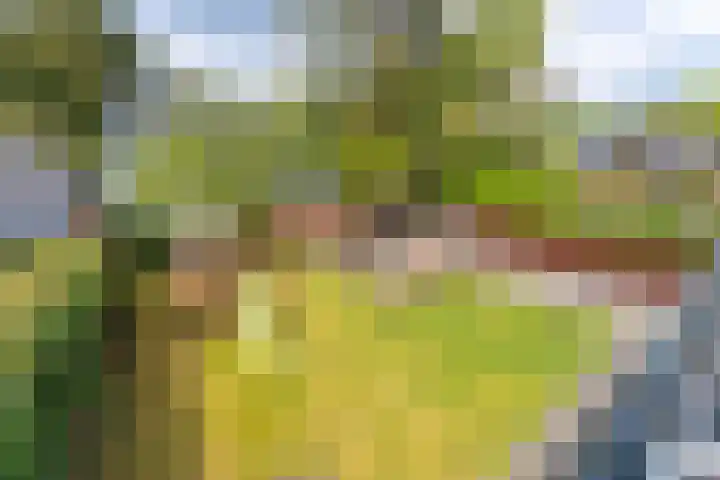Sparrenlaan 10 Soest thumbnail 25