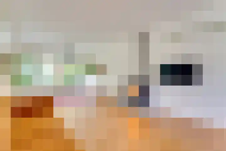 Sparrenlaan 10 Soest thumbnail 4