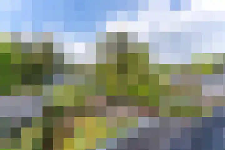 Sparrenlaan 10 Soest thumbnail 40