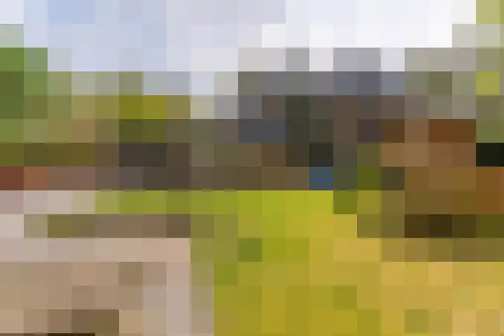 Sparrenlaan 10 Soest thumbnail 46