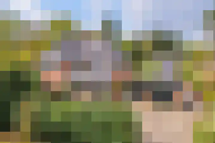 Sparrenlaan 10 Soest thumbnail 49