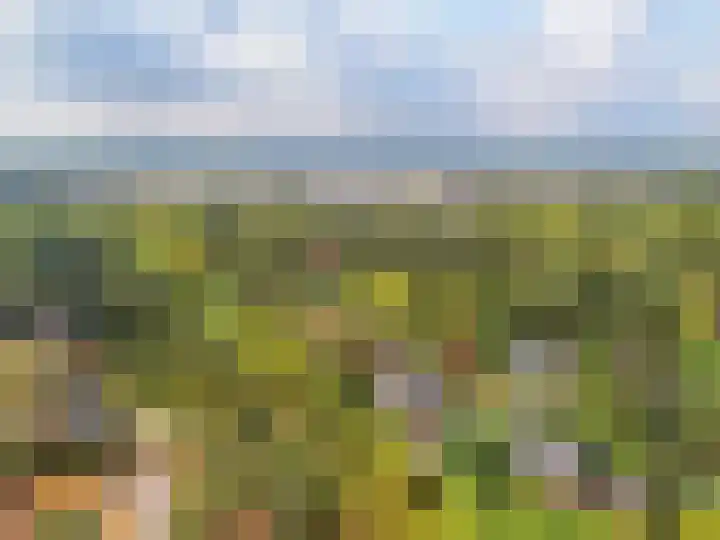 Sparrenlaan 10 Soest thumbnail 67
