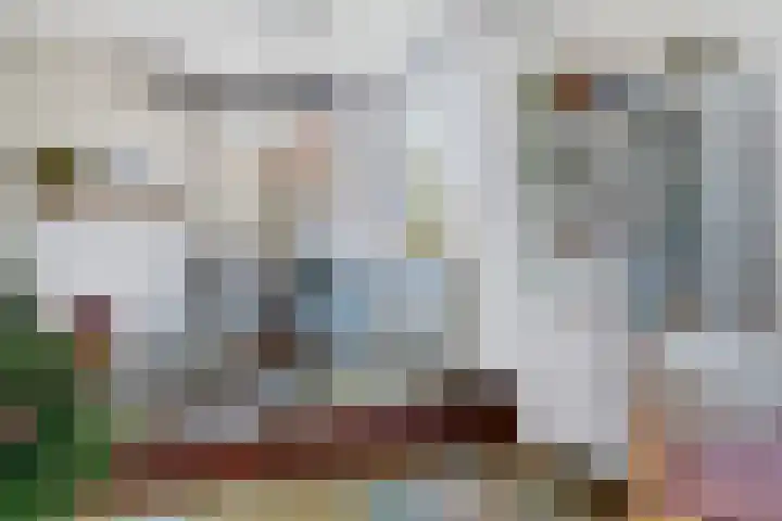 Sparrenlaan 19 Putte thumbnail 17