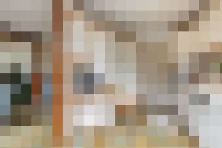 Sparrenlaan 19 Putte thumbnail 18
