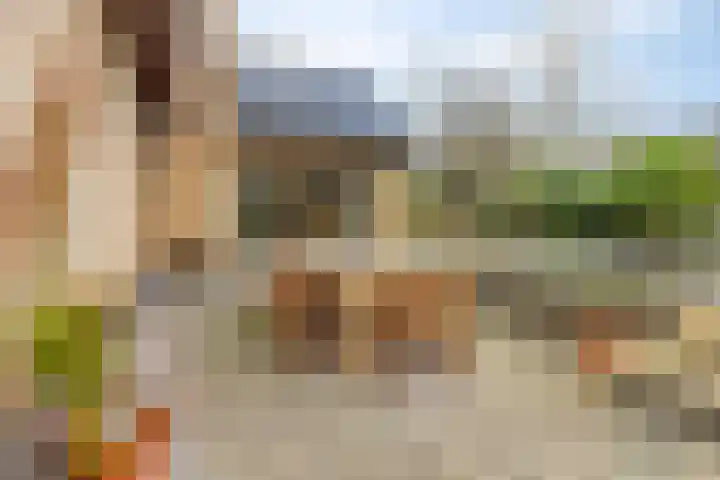 Sparrenlaan 19 Putte thumbnail 33