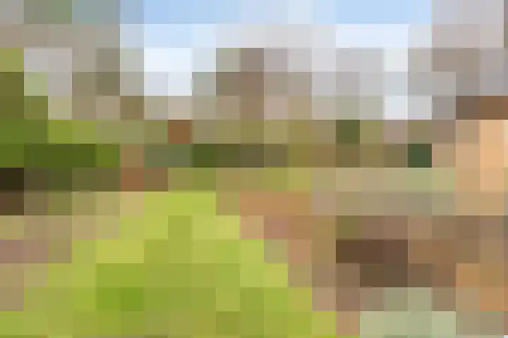 Sparrenlaan 19 Putte thumbnail 35