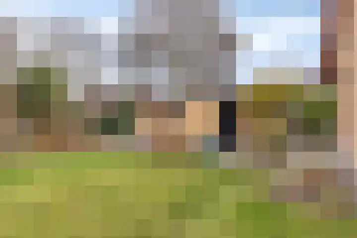 Sparrenlaan 19 Putte thumbnail 39