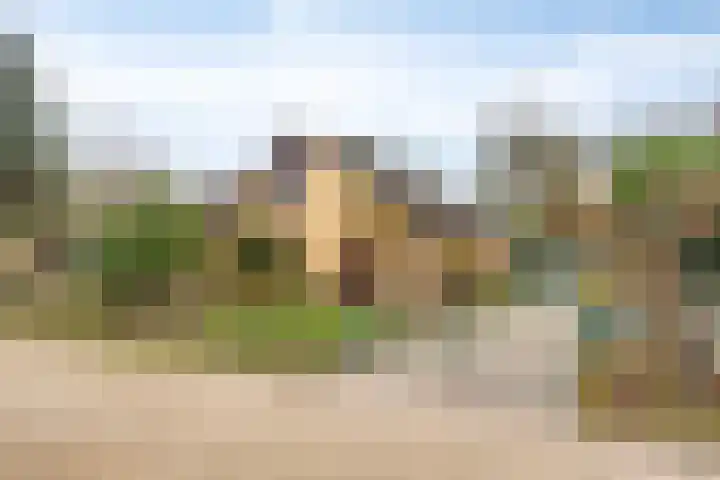 Sparrenlaan 19 Putte thumbnail 6