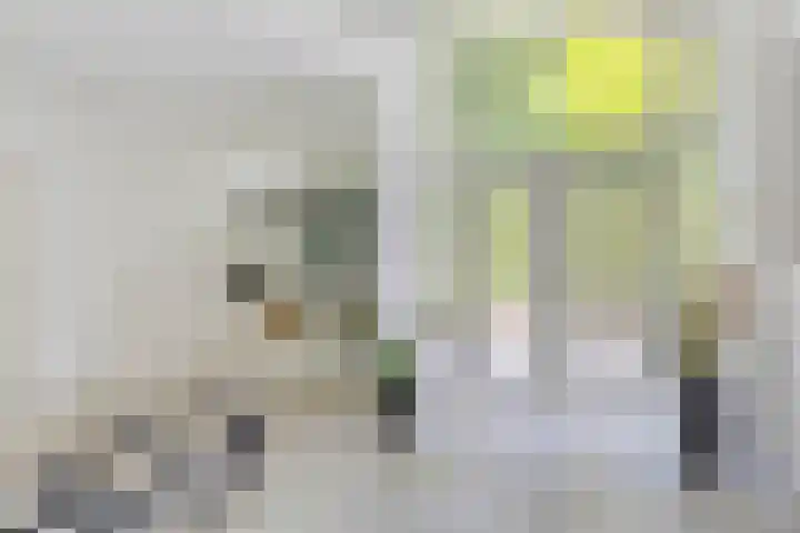 Sparrenlaan 4 Epe thumbnail 11