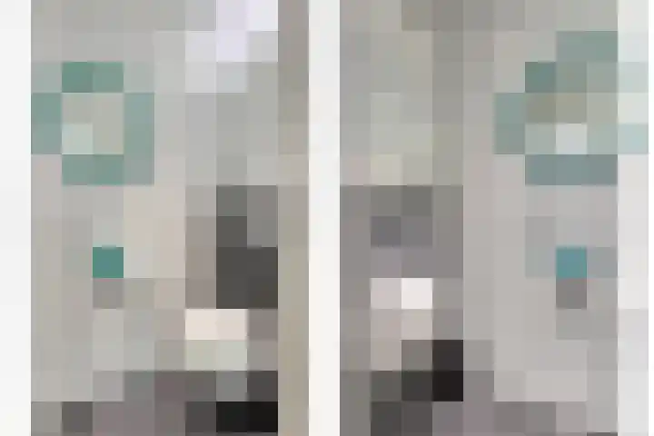 Sparrenlaan 4 Epe thumbnail 13