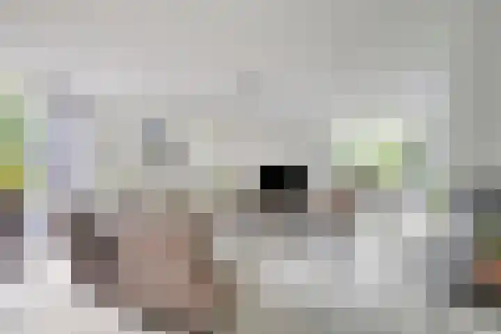 Sparrenlaan 4 Epe thumbnail 14