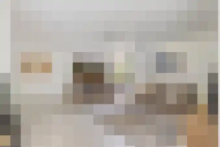 Sparrenlaan 4 Epe thumbnail 16