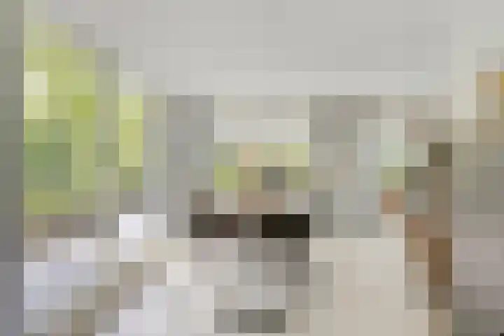 Sparrenlaan 4 Epe thumbnail 17