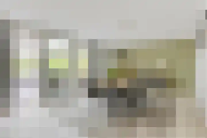 Sparrenlaan 4 Epe thumbnail 20