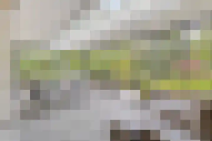 Sparrenlaan 4 Epe thumbnail 25