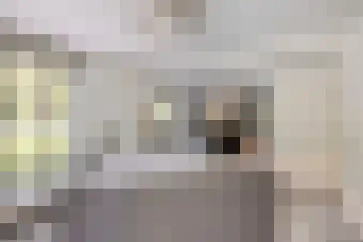 Sparrenlaan 4 Epe thumbnail 29