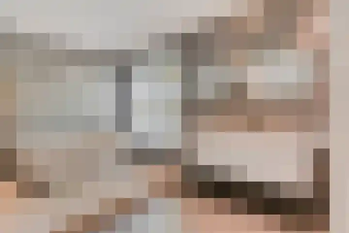 Sparrenlaan 4 Epe thumbnail 31