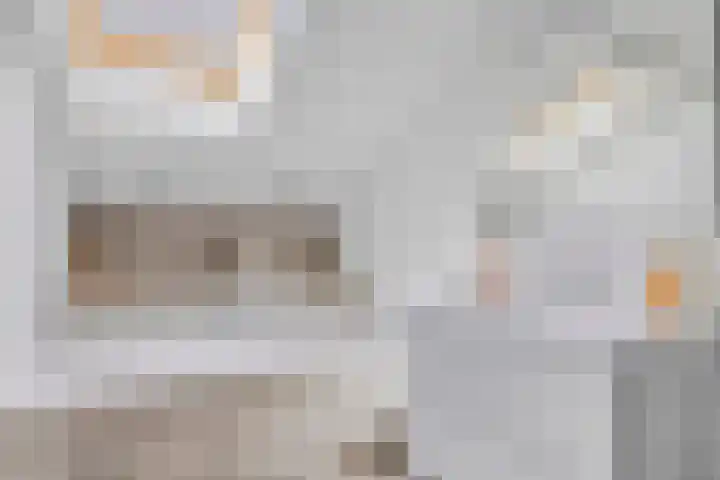 Sparrenlaan 4 Epe thumbnail 40