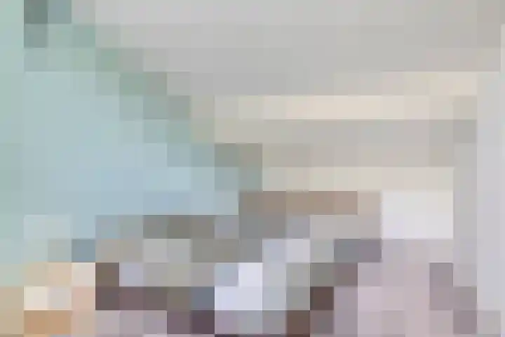 Sparrenlaan 4 Epe thumbnail 41