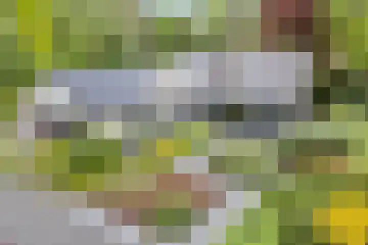 Sparrenlaan 4 Epe thumbnail 5