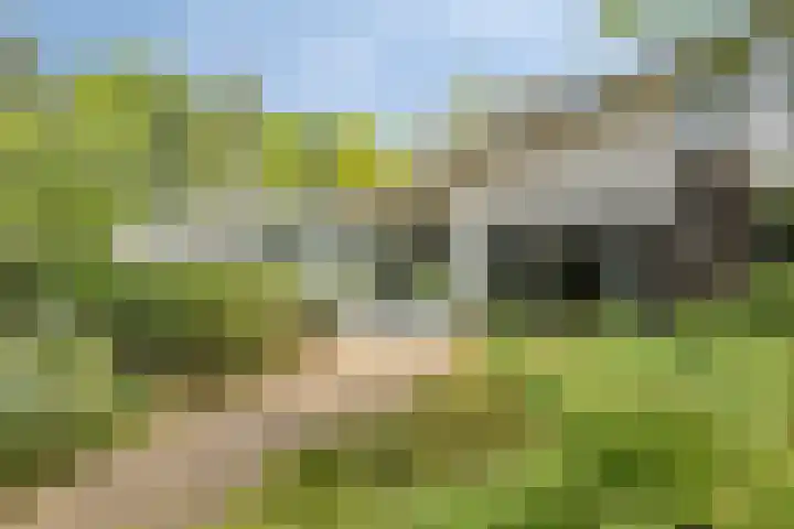 Sparrenlaan 4 Epe thumbnail 6
