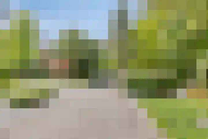 Sparrenlaan 4 Epe thumbnail 7