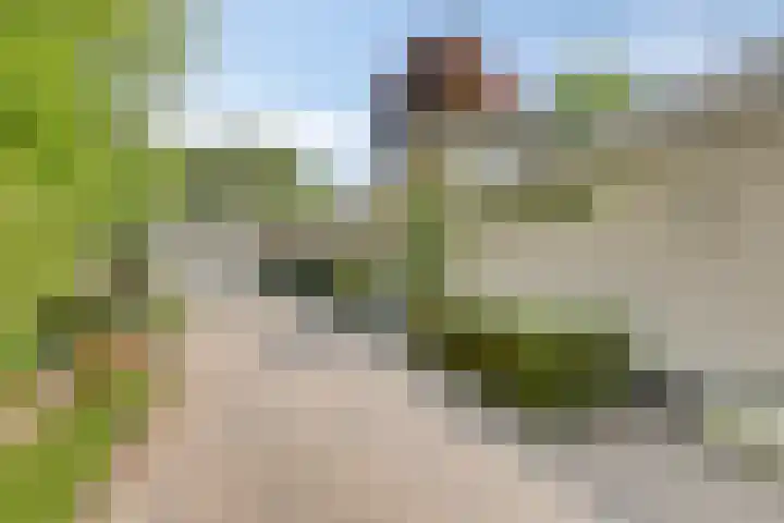 Sparrenlaan 4 Epe thumbnail 9