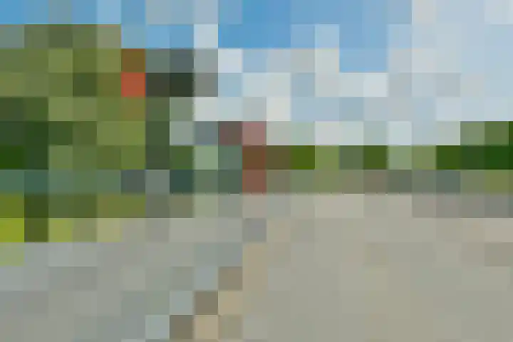 Sparresholm 35 Hoofddorp thumbnail 30