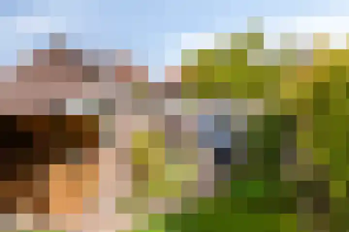 Sparstraat 64 Oldenzaal thumbnail 32