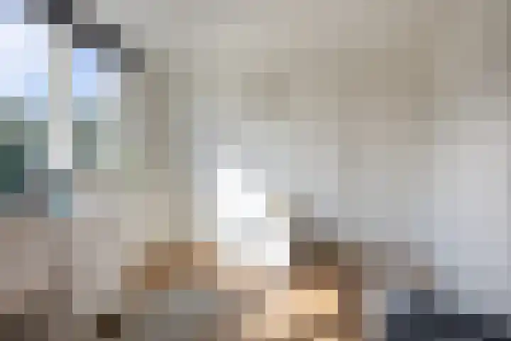 Spatterstraat 14 Wormer thumbnail 15