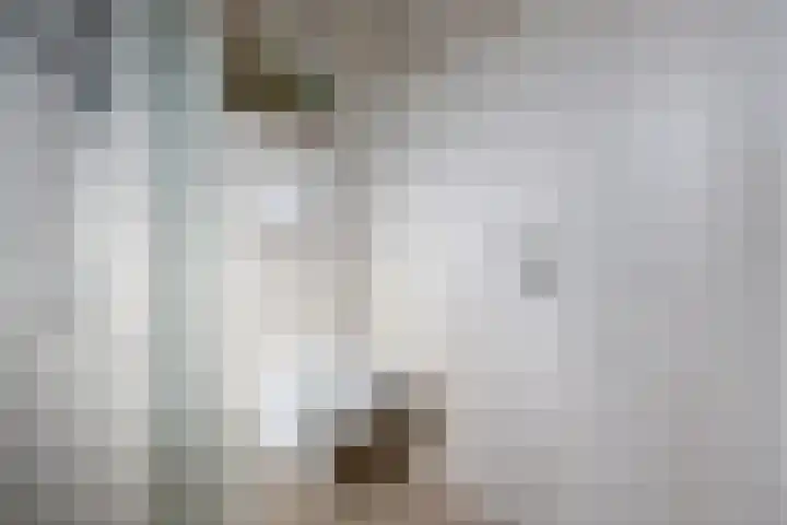 Spatterstraat 14 Wormer thumbnail 22