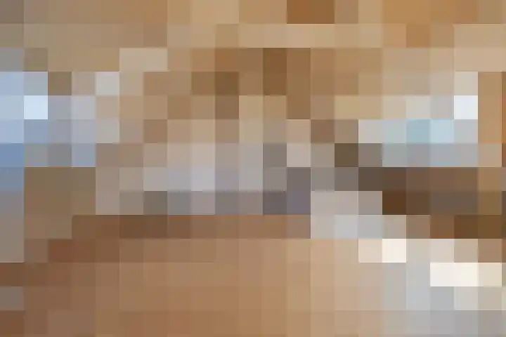 Spatterstraat 14 Wormer thumbnail 24