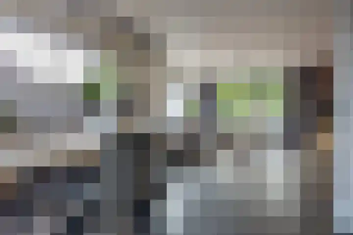Spatterstraat 14 Wormer thumbnail 4