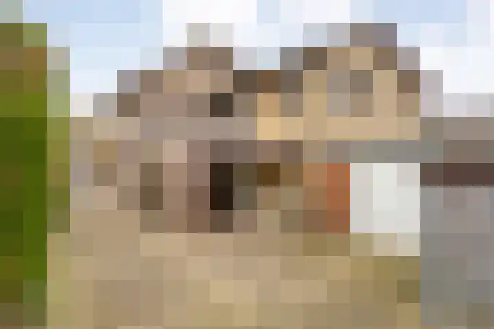 Spaubeekerstraat 111 Beek thumbnail 36