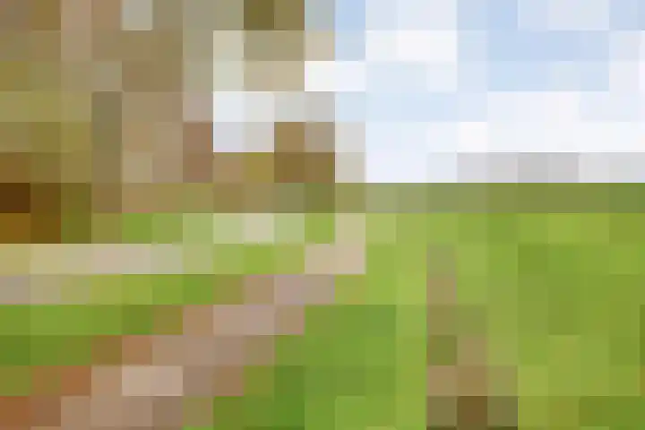 Spaubeekerstraat 111 Beek thumbnail 46