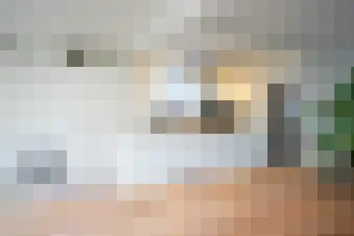 Spaubeeklaan 47 Geleen thumbnail 18