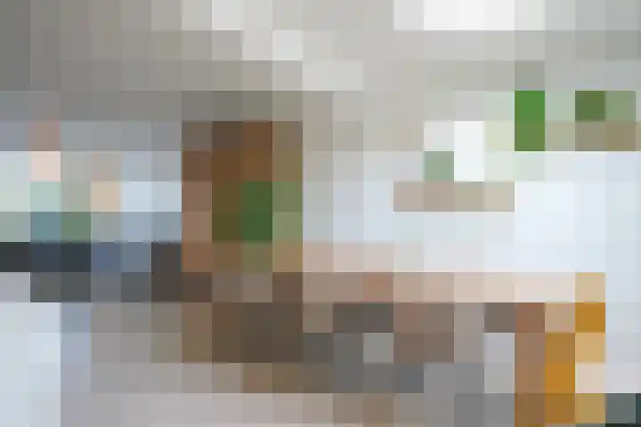 Spaubeeklaan 47 Geleen thumbnail 19