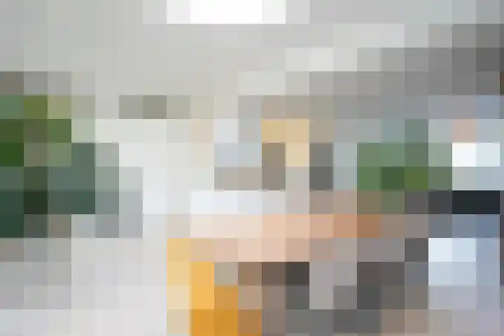Spaubeeklaan 47 Geleen thumbnail 20