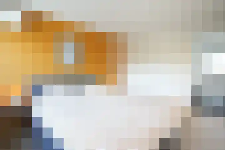 Spaubeeklaan 47 Geleen thumbnail 24