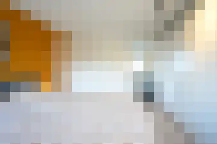 Spaubeeklaan 47 Geleen thumbnail 25